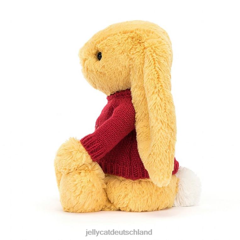 Jellycat schüchterner Hase mit personalisiertem roten Pullover Sonnenschein Spielzeug Z8424332