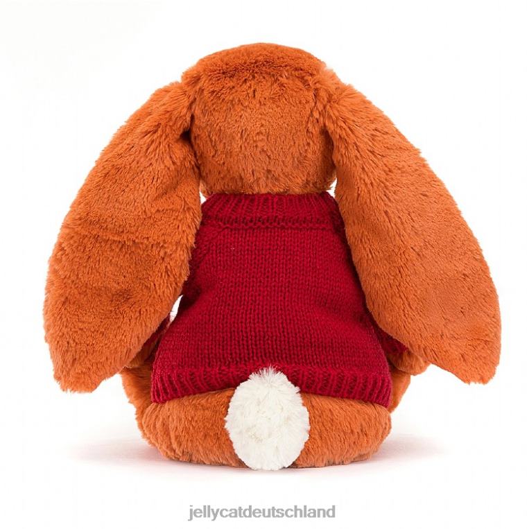 Jellycat schüchterner Mandarinenhase mit personalisiertem roten Pullover in Orange Spielzeug Z8424509